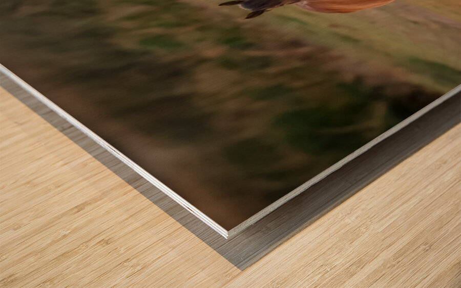 Nevada wild  Series VR1 2 Wood print