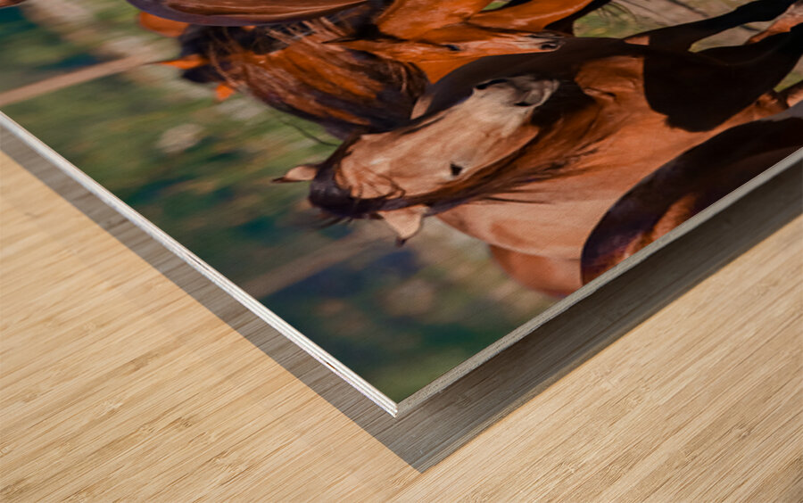 Nevada wild  Series VR1 3 Wood print