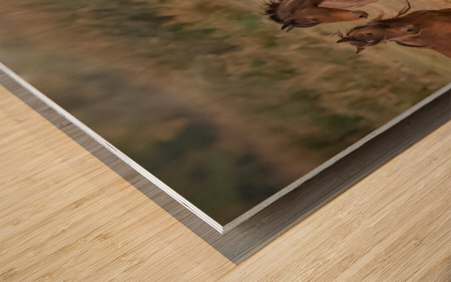 Nevada wild  Series VR1 2 Wood print