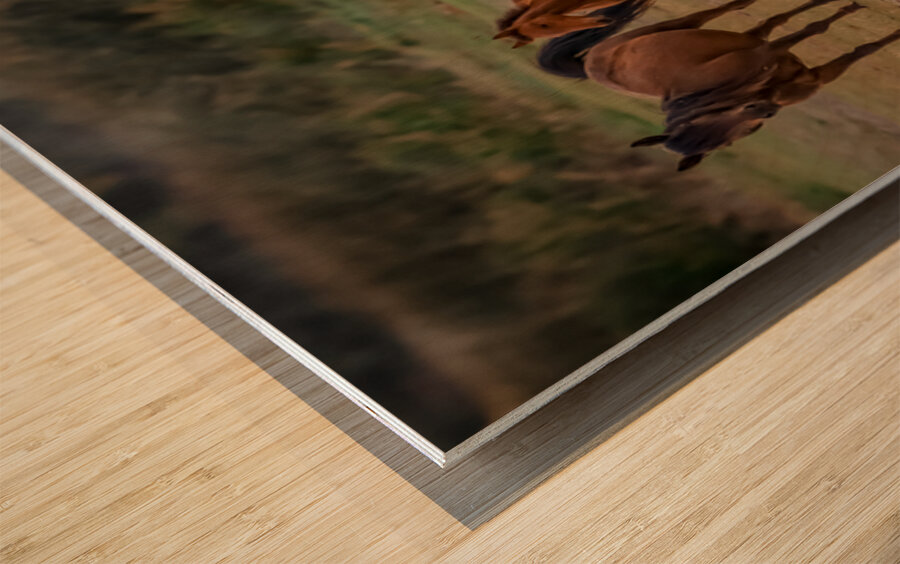 Nevada wild  Series VR1 3 Wood print