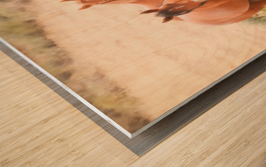 Nevada Mustang Series 15 1 Wood print