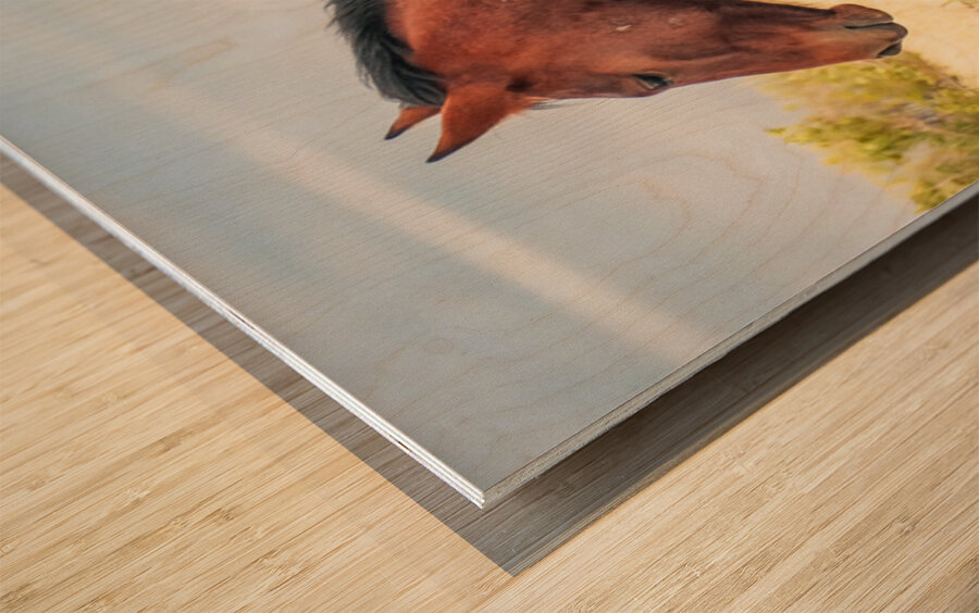 Nevada Mustang Series 17 1 Wood print