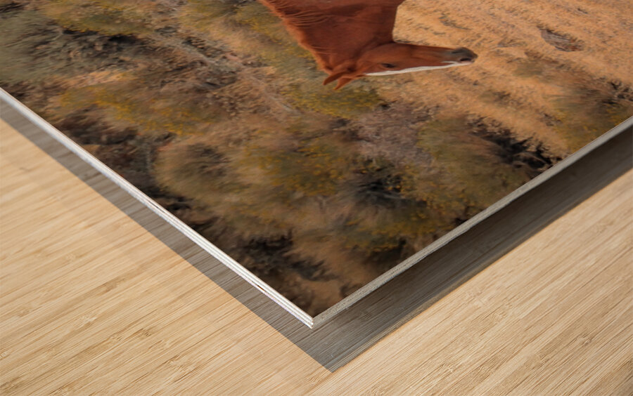 Nevada Mustang Series 16 1 Wood print