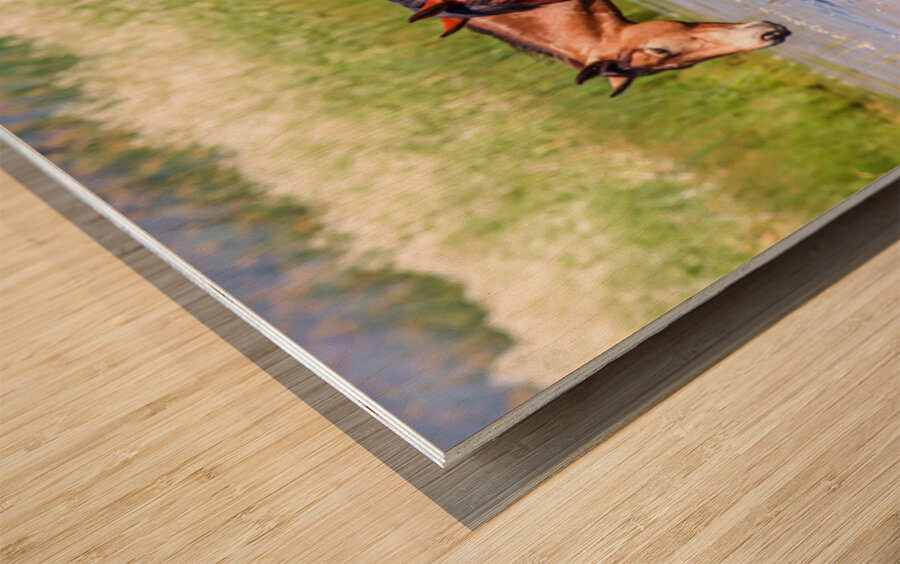 Nevada Mustang 1 2 Wood print