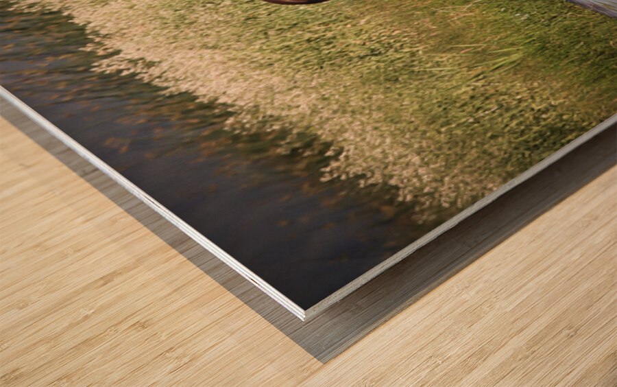 Nevada Mustang 1 5 Wood print