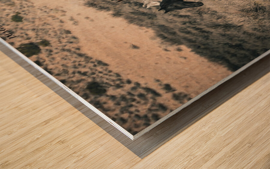 Nevada Mustang 2 1 Wood print