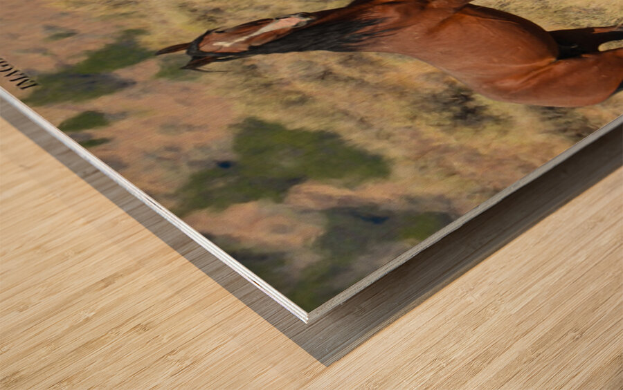 Nevada Mustang 2 2 Wood print