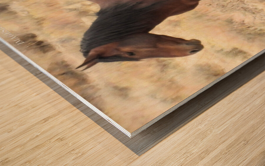 Nevada Mustang 2 3 Wood print