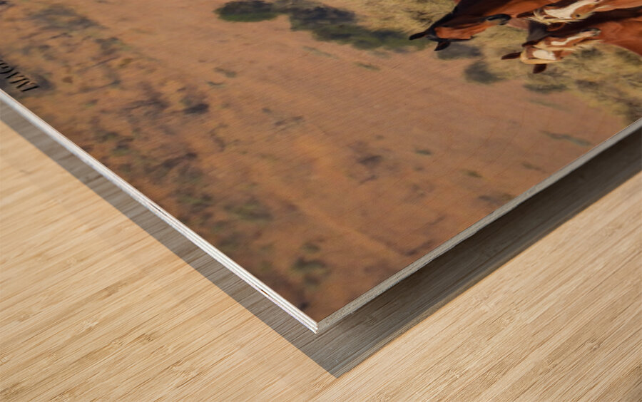 Nevada Mustang 2 5 Wood print