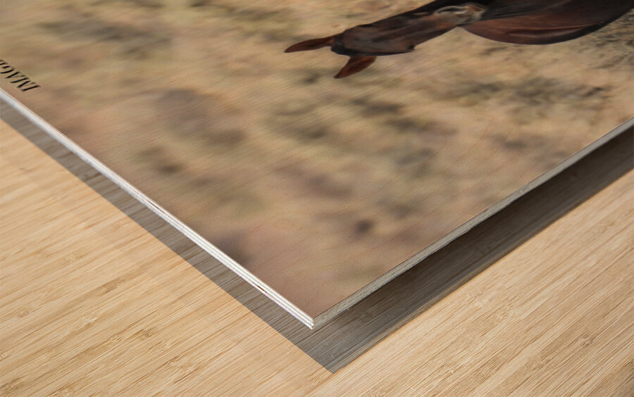 Nevada Mustang 3 2 Wood print