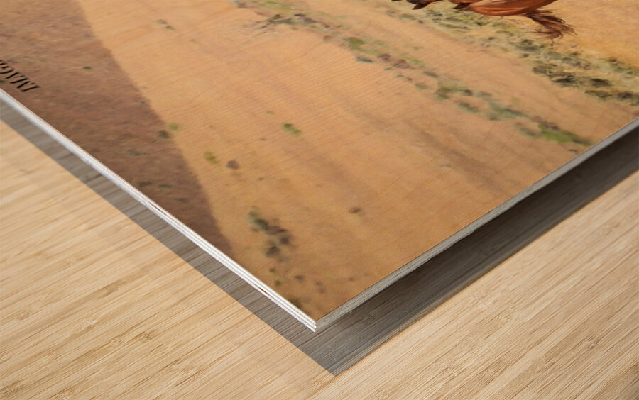 Nevada Mustang 3 3 Wood print