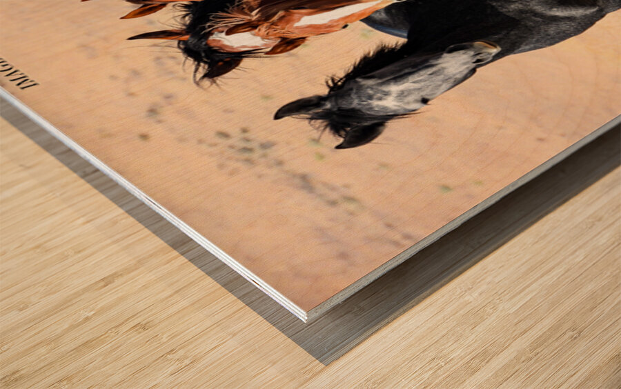 Nevada Mustang 3 5 Wood print