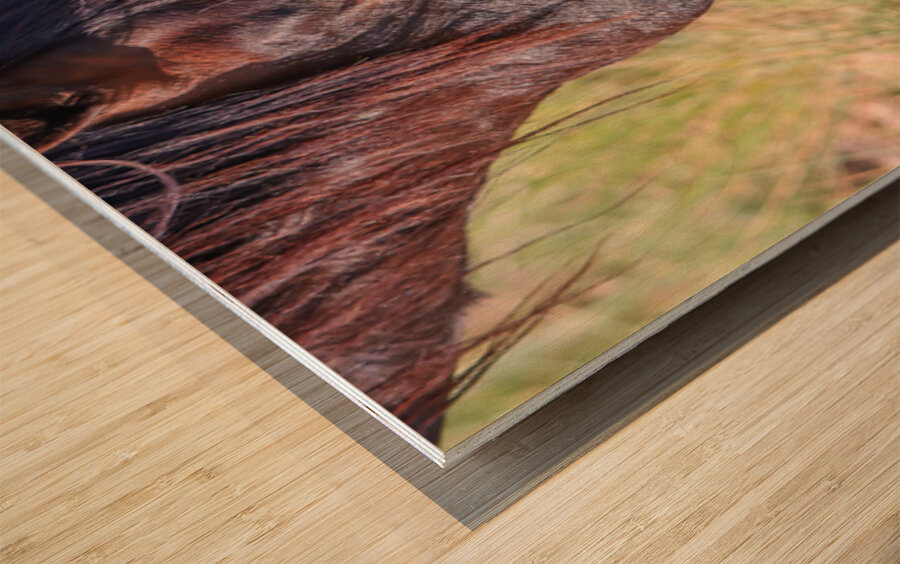 Nevada Wild 165 1 Wood print