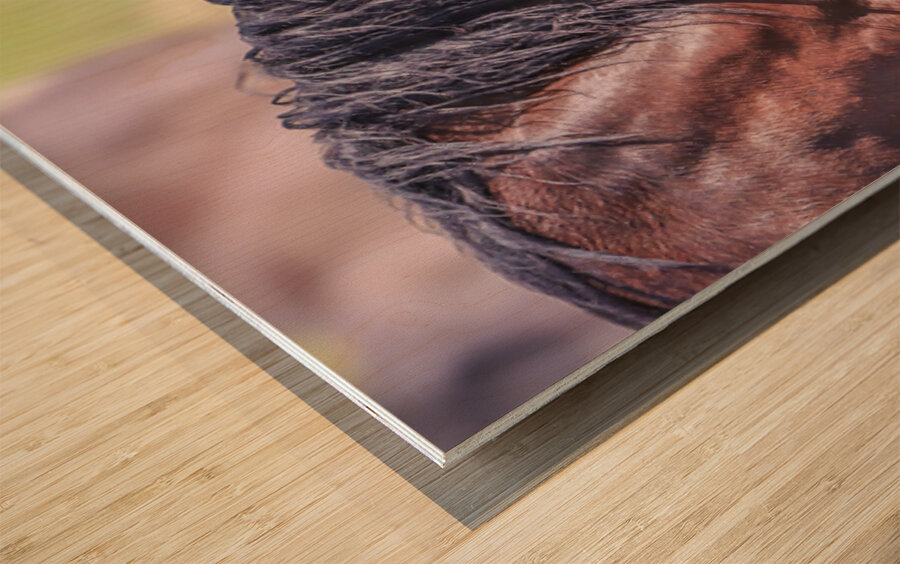 Nevada Wild 165 2 Wood print