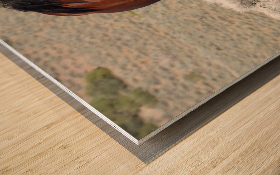 Nevada Wild 165 1 Wood print