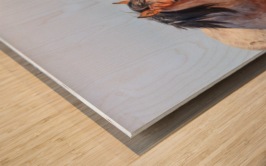 Nevada Wild 165 1 Wood print