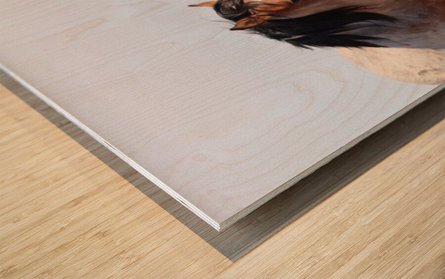 Nevada Wild 165 1 Wood print