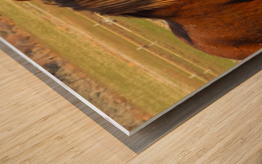 Nevada Wild 165 1 Wood print