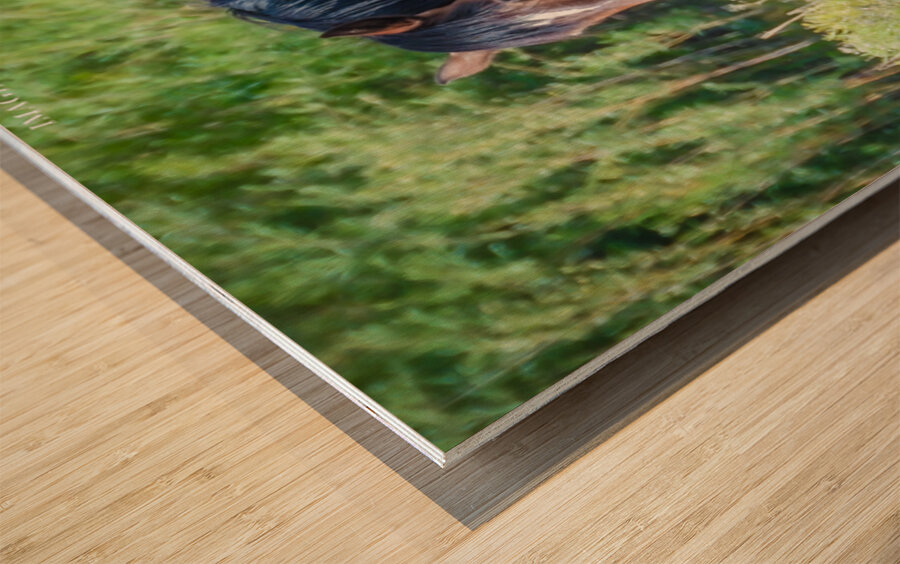 Nevada Wild 165 1 Wood print