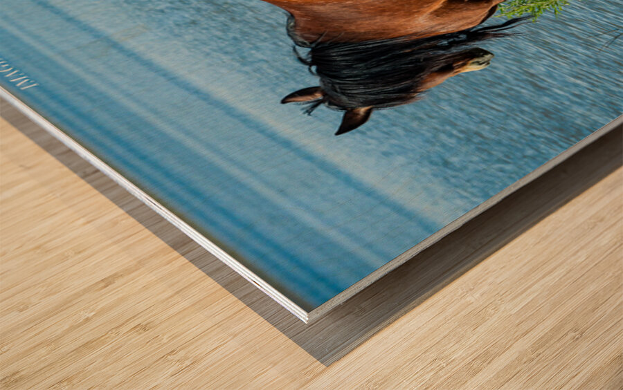 Nevada Wild 165 1 Wood print