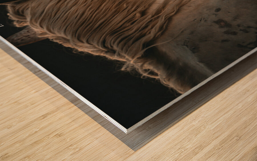 Nevada Wild 165 1 Wood print