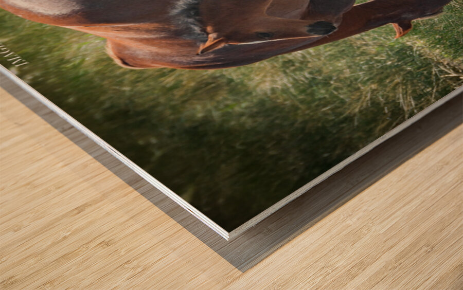 Nevada Wild 165 1 Wood print