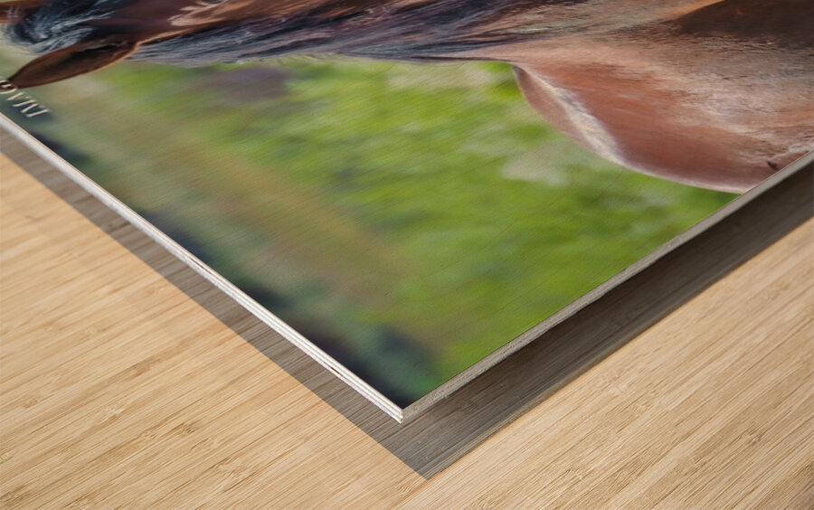 Nevada Wild 165 1 Wood print