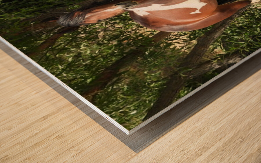 Nevada Wild 165 1 Wood print