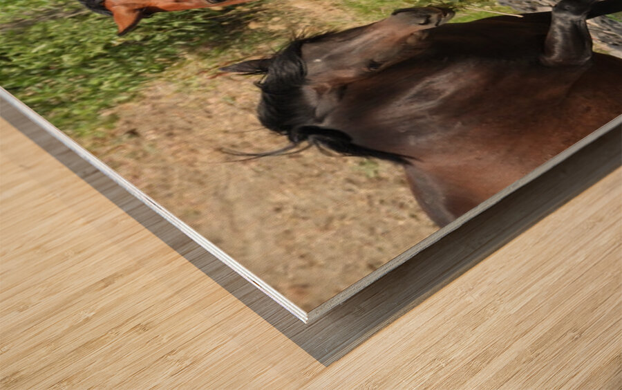 Nevada Wild 165 1 Wood print