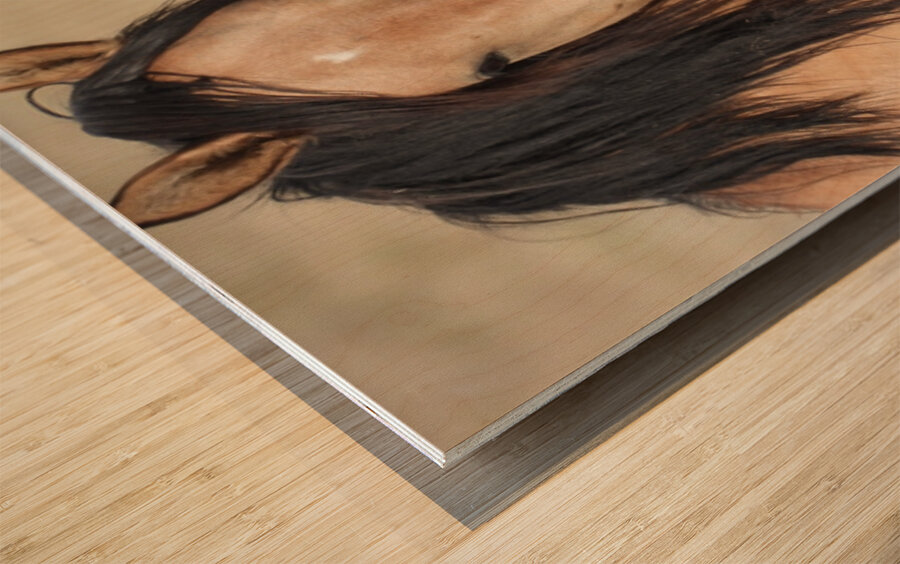 Nevada Wild 165 1 Wood print